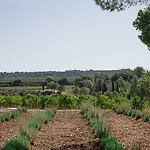 B&B Chateau De Lastours - Le 3*