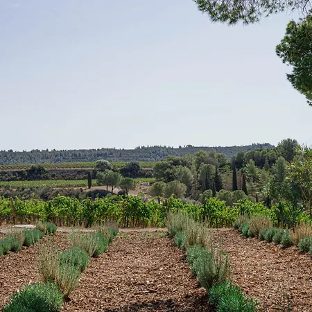 Bed & Breakfast Chateau De Lastours - Le 4*