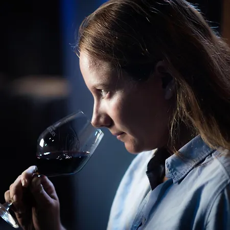 Chateau De Lastours - Le Bed & Breakfast 4*