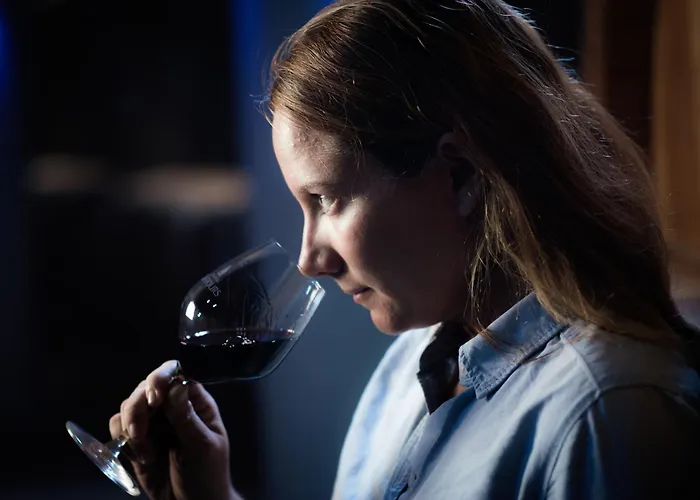 Chateau De Lastours - Le Bed and Breakfast 4*